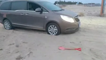 Heiße verkaufende Auto-Notfall-Schnee-Sand-Leiter-Kit-Wiederherstellungsschienen für Fahrzeuge Gt-26p